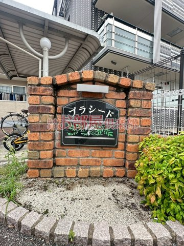 プラシードのその他