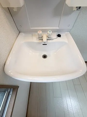 キャピタルマンションの洗面所