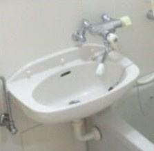 グリーンネスコートの洗面所