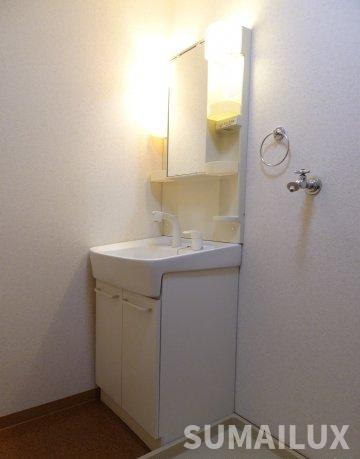 熊本市南区出仲間７丁目の賃貸マンションの独立洗面台