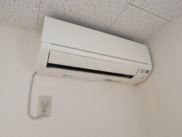 アンプルール Shineのその他