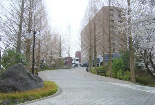 私立和光大学まで1039m