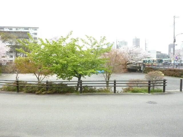 南側公園です