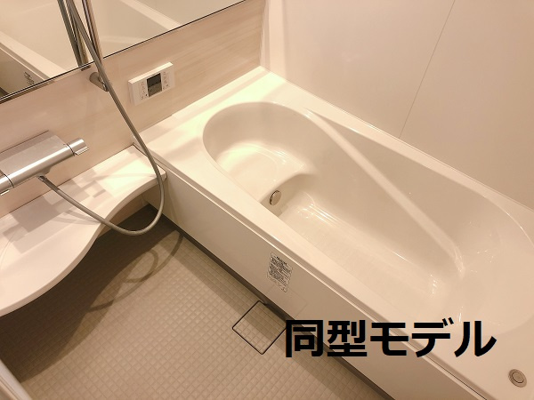ディーシャンブル南丸之内A棟の浴室