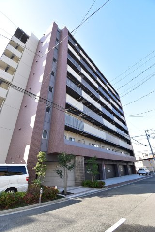 ドミール丸好