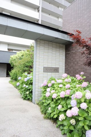 アルファステイツ県庁前