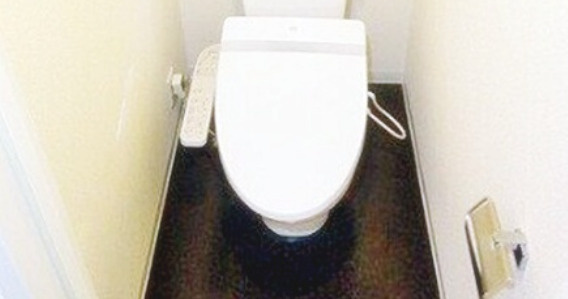 Ｌ－Ｆｌａｔ入谷のトイレ