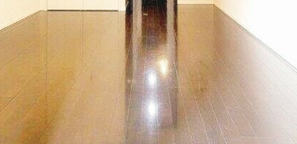 Ｌ－Ｆｌａｔ入谷の内装