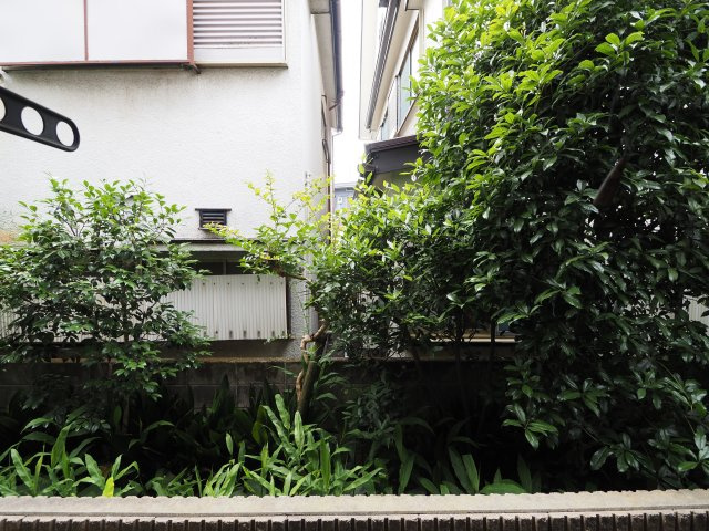 【展望】 | クレール２１