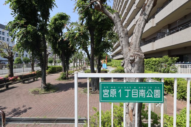 コスモ大宮ロイヤルフォルムのその他|敷地内の公園