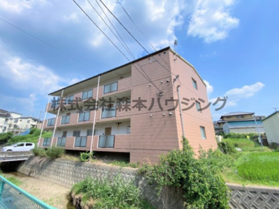 【外観】 | 　シャトー忍ヶ丘 | 外観も気になるポイント