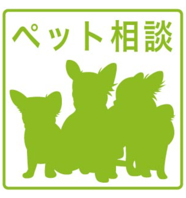 アドバンス名古屋シュテルンのその他