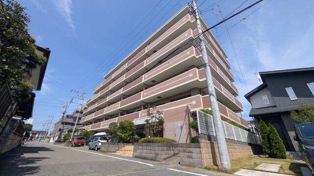 アイディーコート錦
