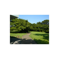 桜丘四丁目公園まで726m