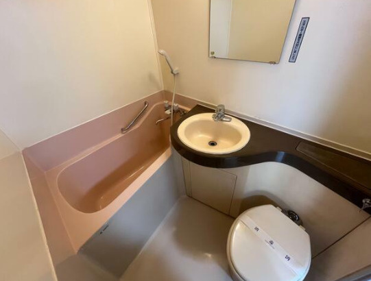 朝日向島マンションの洗面所