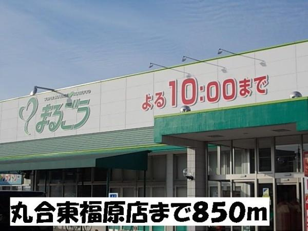  | フルール・ユー