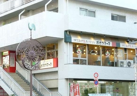 アルベロパラッツォの周辺|ポポラマーマ ひばりヶ丘店まで1000m