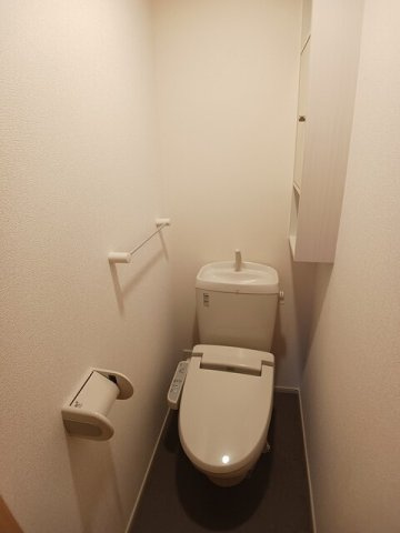 ダイアンサスのトイレ