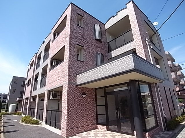 マイルドの外観