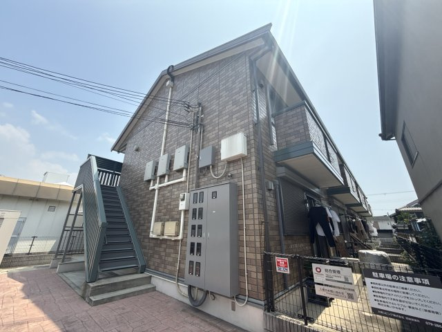 プラシードの外観