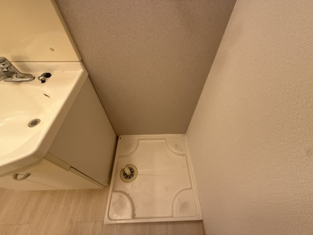 プラシードのその他