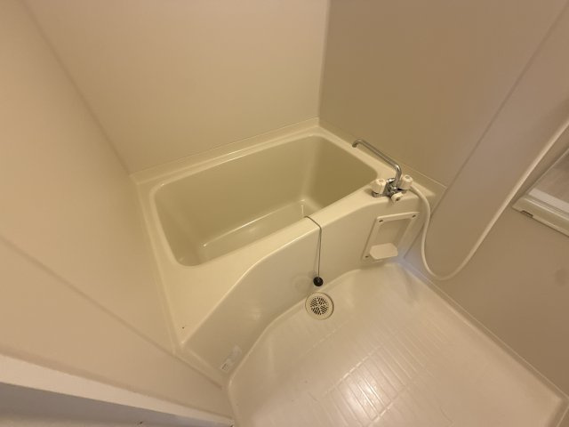 プラシードの浴室