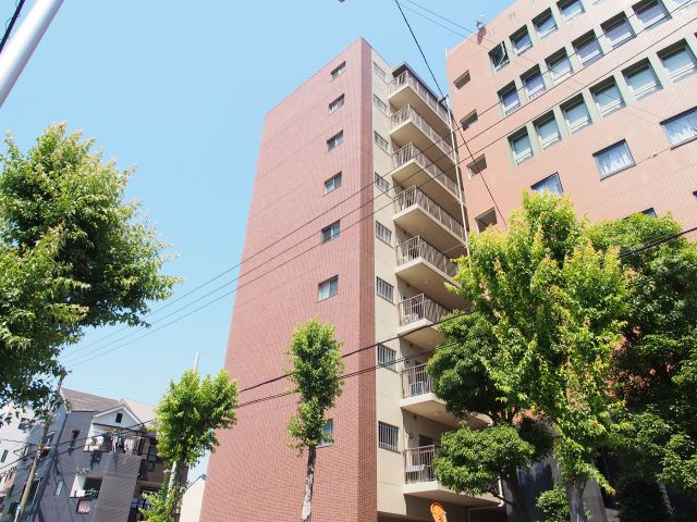 ドミール丸好