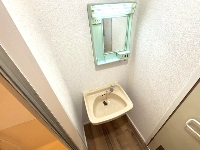 シャトードイワネ２号館の洗面所