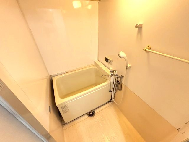 シャトードイワネ２号館の浴室