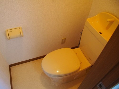 【トイレ】 | ブルーマウンテンⅢ | 清潔感のあるトイレです