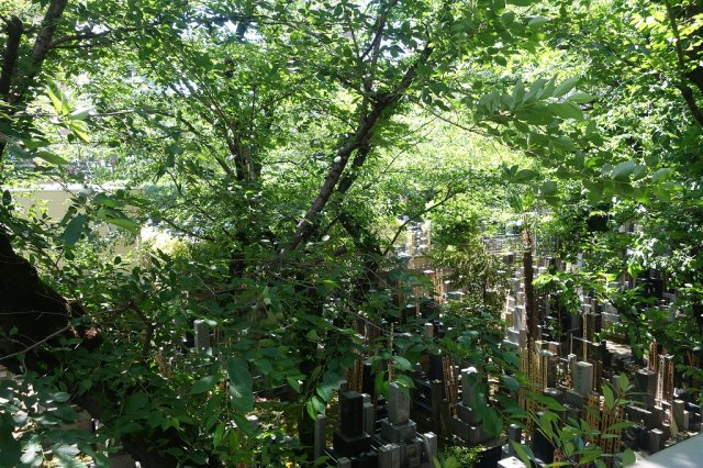 プラハテラス東大前の展望