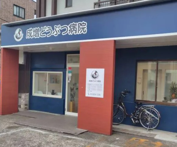 板橋マンションの周辺