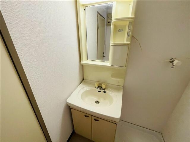 オートサンピア101の洗面所