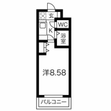 コーラル観月の画像