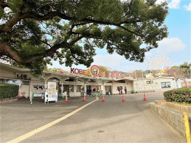 青谷町2丁目 4号地 売土地の周辺|王子公園・神戸市立王子動物園にほど近く、毎日のジョギングや愛犬とのお散歩、休日のお出かけも気軽に楽しめます