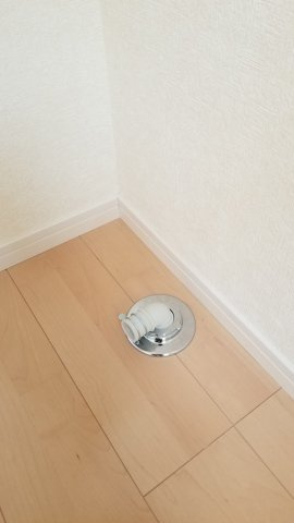 ティ・アーモ　サンセット