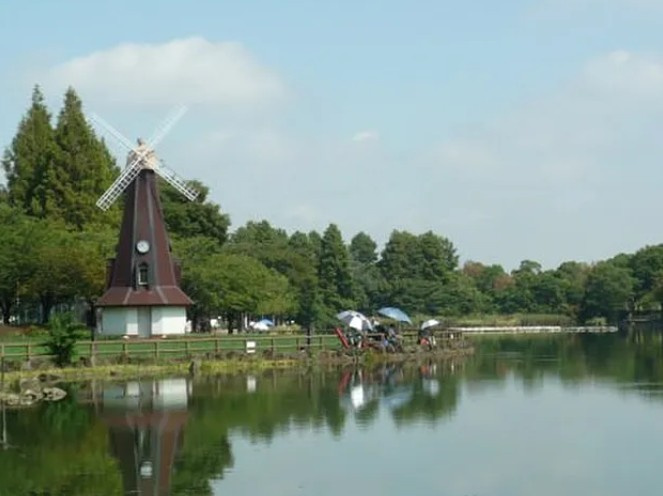 グランパークN.TOKYOの周辺