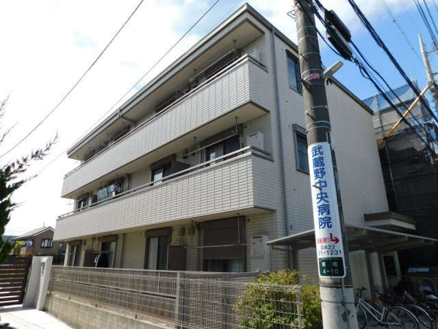 MAISON　VERT