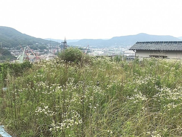 赤崎町売土地の外観