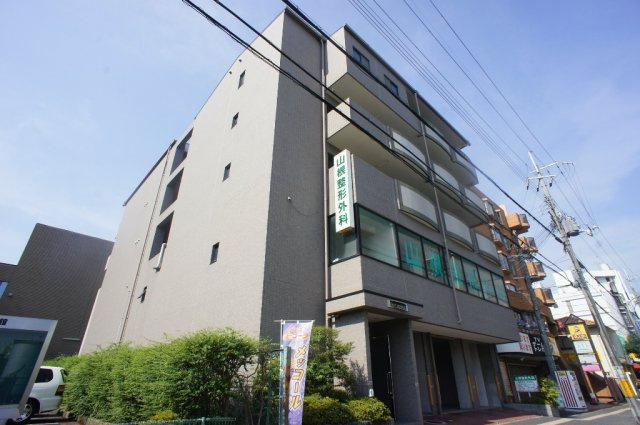 サンルピナス