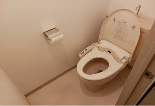 ライオンズプラザお茶の水のトイレ