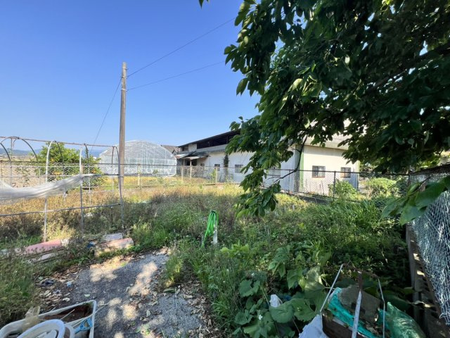 植田アパートのその他