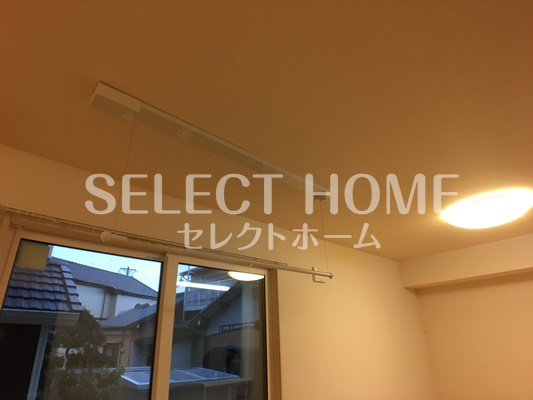  | パピヨン