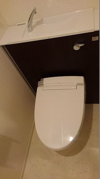グリーンビレッジ菊名のトイレ
