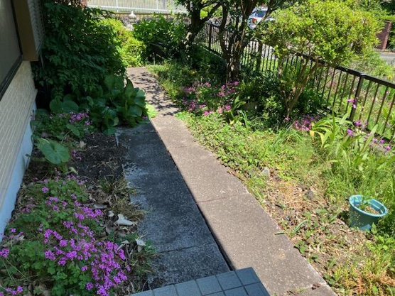 【庭】 | 大室高原別荘地　戸建