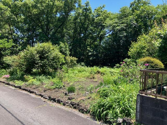 【庭】 | 大室高原別荘地　戸建