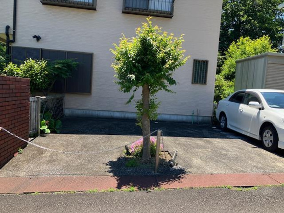【駐車場】 | 大室高原別荘地　戸建