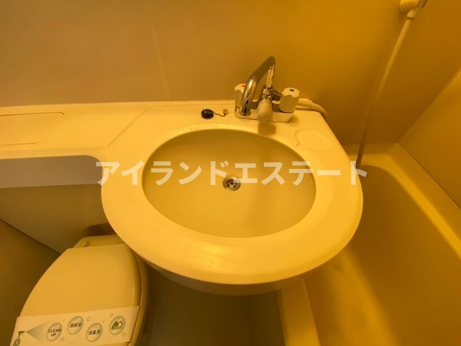 ロッキー三軒茶屋　ペット相談　ネット無料　南西向きの洗面所