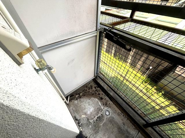 アルティスタのその他