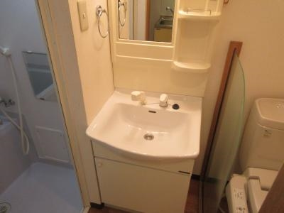 ロフティ西京極郡町の洗面所|シャンプードレッサー